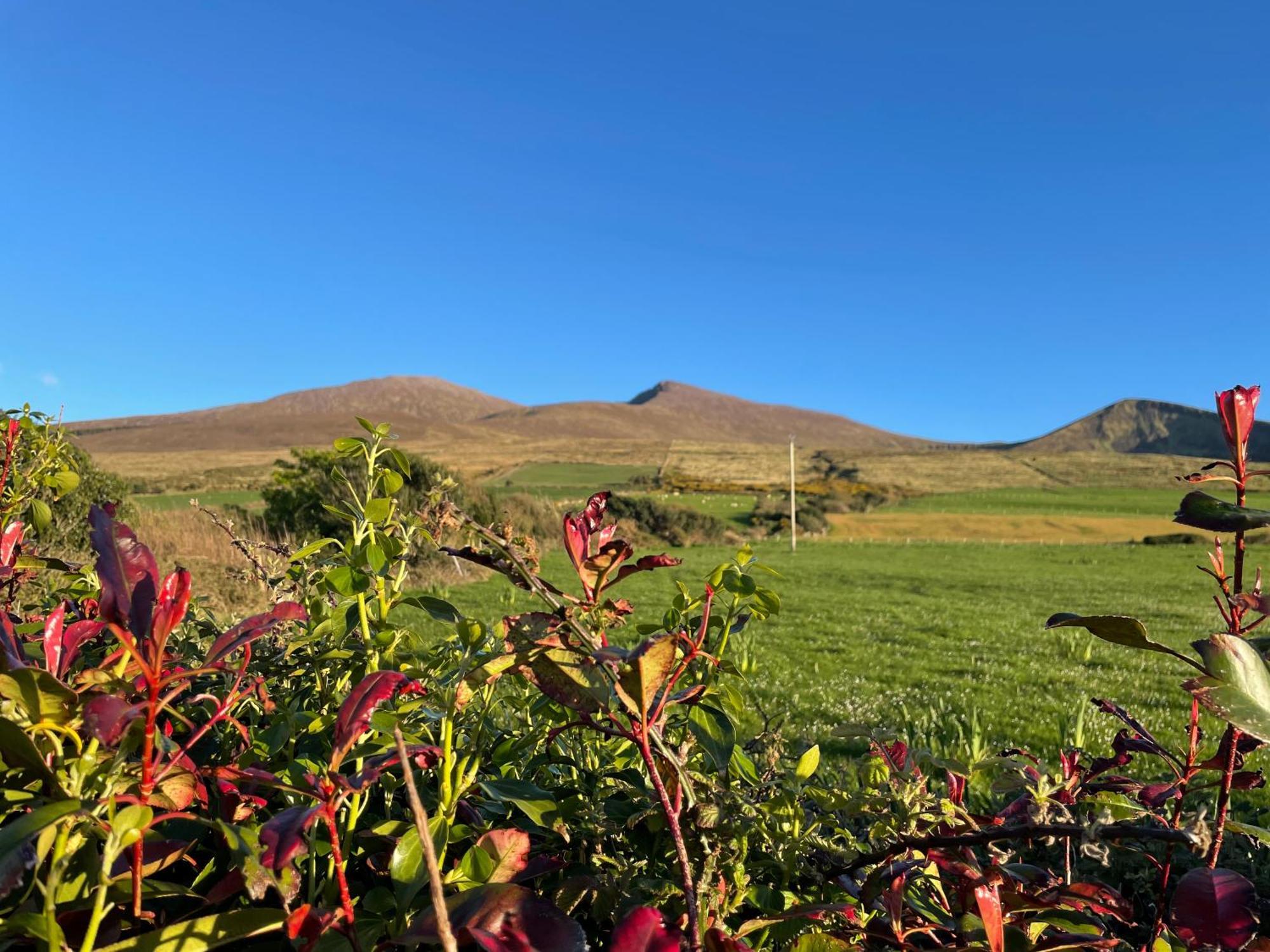 Beenoskee Bed And Breakfast Castlegregory Exterior photo